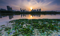 雁塔、大明宫遗址公园；持续8年三道红线持续绿